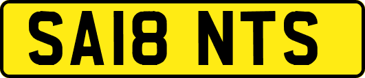 SA18NTS