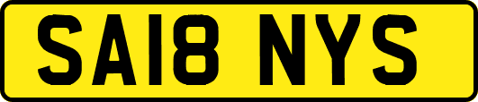 SA18NYS