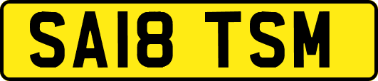 SA18TSM