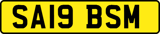 SA19BSM