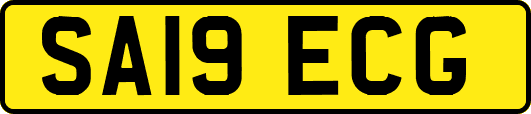 SA19ECG