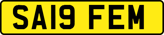 SA19FEM