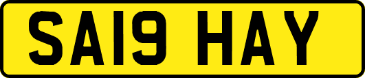 SA19HAY