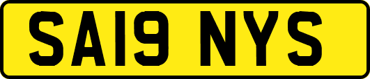 SA19NYS