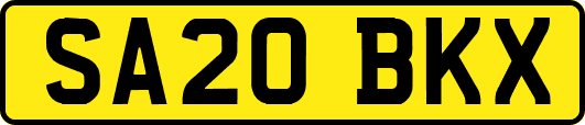 SA20BKX