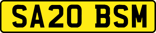 SA20BSM