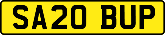SA20BUP