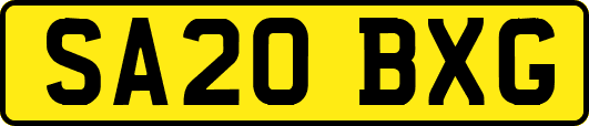SA20BXG