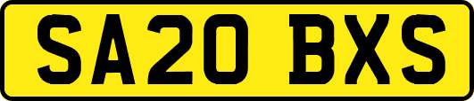 SA20BXS