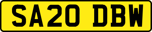 SA20DBW