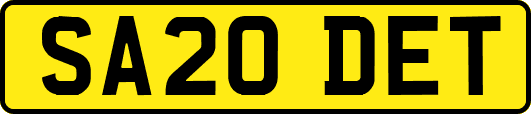 SA20DET