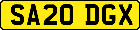 SA20DGX