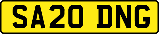SA20DNG
