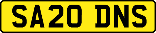 SA20DNS