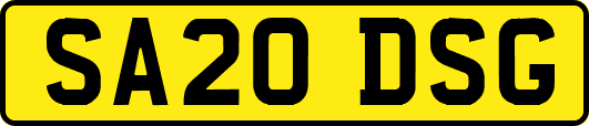 SA20DSG
