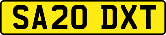SA20DXT