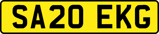 SA20EKG