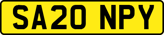 SA20NPY