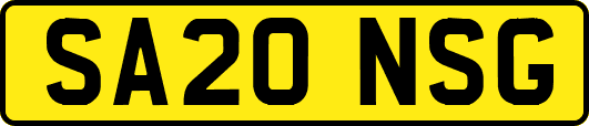 SA20NSG