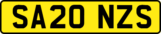 SA20NZS