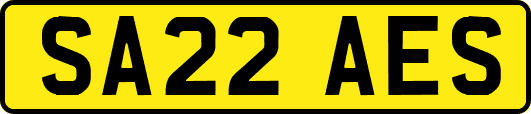 SA22AES