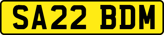 SA22BDM