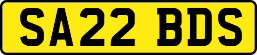 SA22BDS