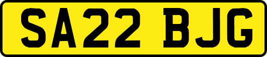 SA22BJG