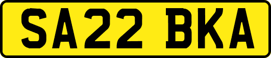SA22BKA