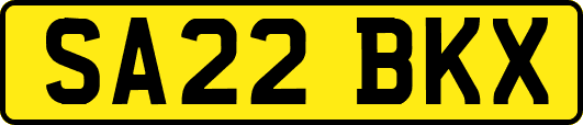 SA22BKX
