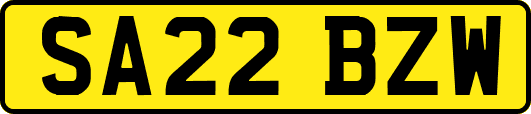 SA22BZW