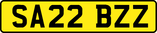 SA22BZZ