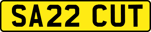 SA22CUT