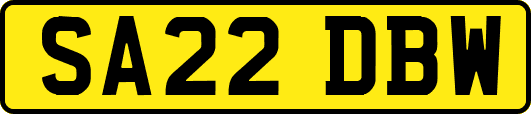 SA22DBW