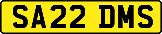 SA22DMS