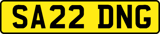 SA22DNG