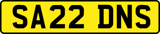 SA22DNS