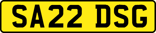 SA22DSG