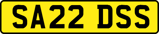SA22DSS