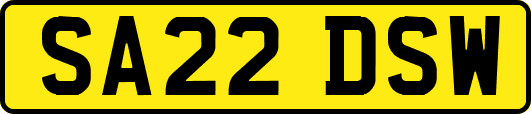 SA22DSW