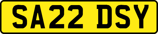 SA22DSY