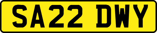 SA22DWY
