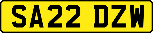 SA22DZW