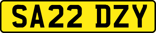 SA22DZY