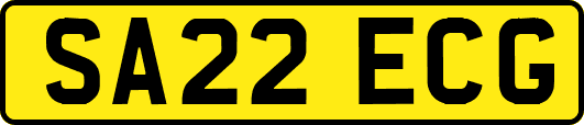SA22ECG