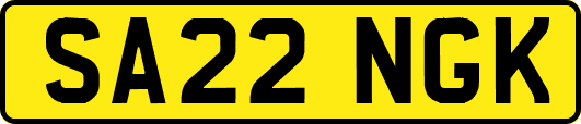 SA22NGK