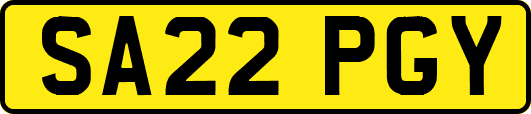 SA22PGY