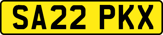 SA22PKX