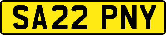 SA22PNY
