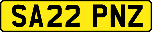 SA22PNZ